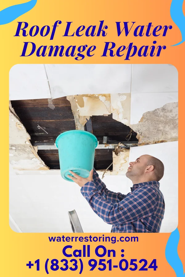 Roof Leak Water Damage Repair in Verdon, SD
